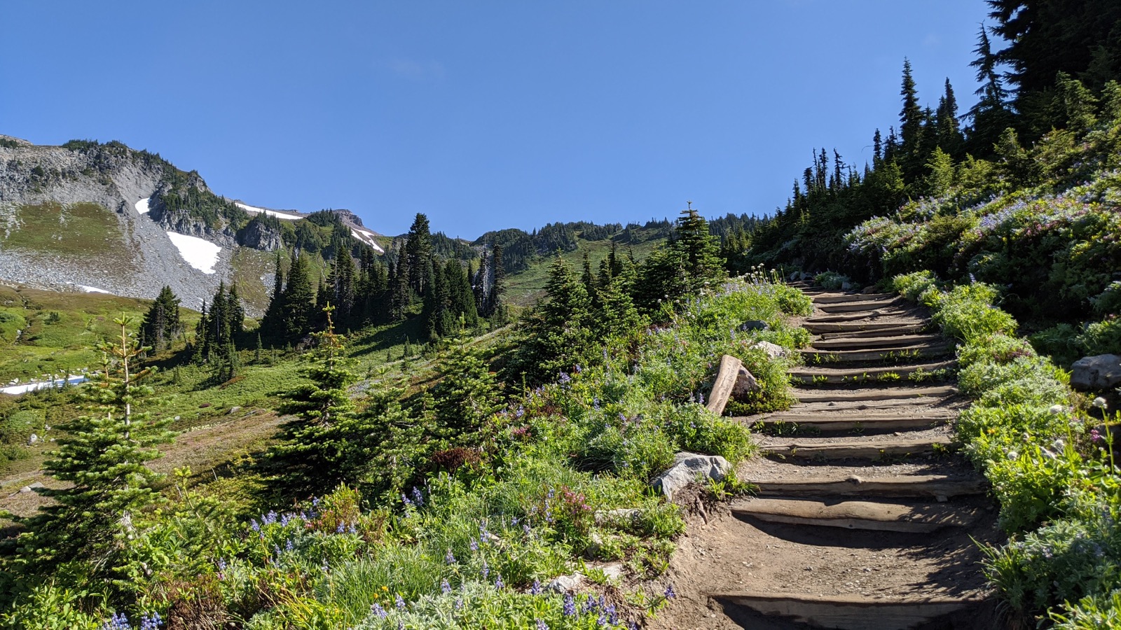 A mountain trail climbing through a green alpine meadow toward a rocky ridge
